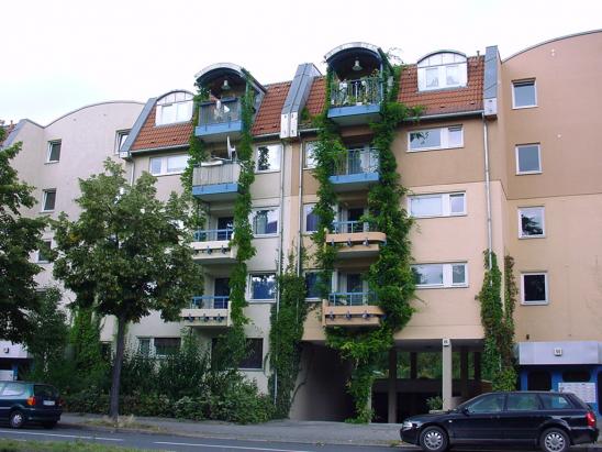 Außenansicht_ Außenansicht_