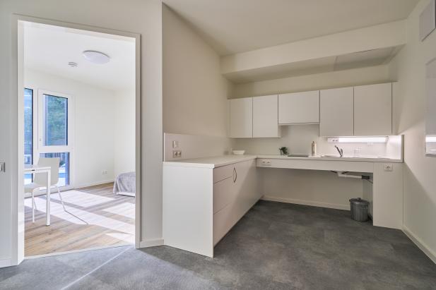 Küchenzeile mit Zimmerblick