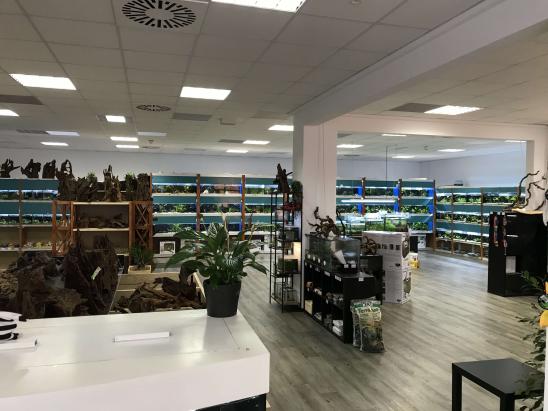 Innenansicht Innenansicht