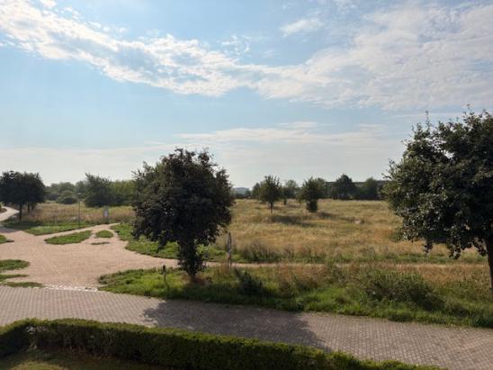 Ausblick Ausblick