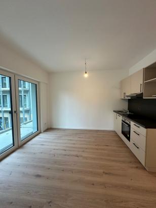 Wohnzimmer mit Pantryküche (Bsp.) Wohnzimmer mit Pantryküche (Bsp.)