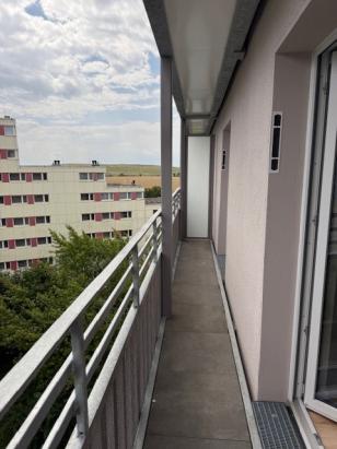 Fanzösischer Balkon (Bsp.) Fanzösischer Balkon (Bsp.)