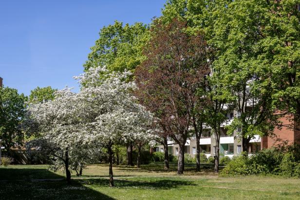 Außenansicht Außenansicht