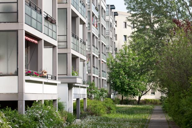 Gepflegtes Wohnumfeld Gepflegtes Wohnumfeld